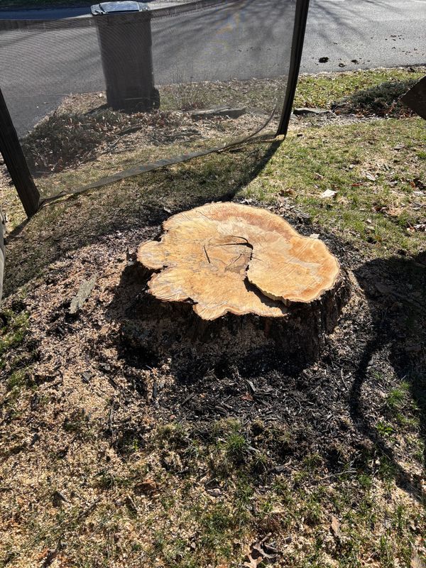 Stump Removal