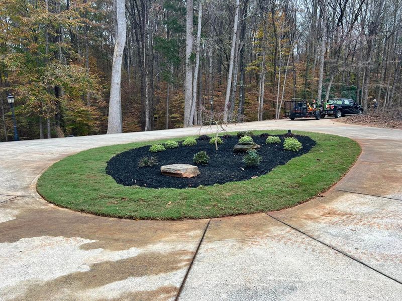 🌱 Sod Installation