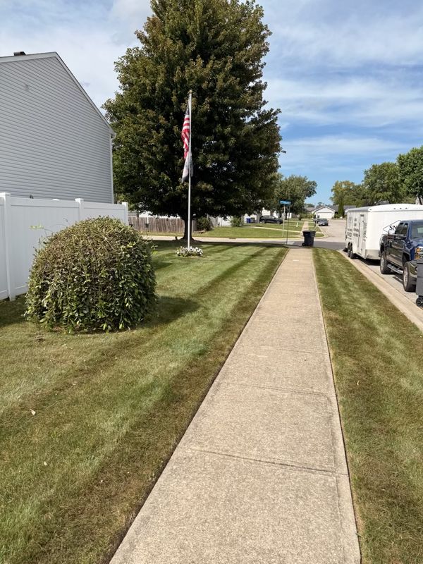 Tree and Shrub Care
