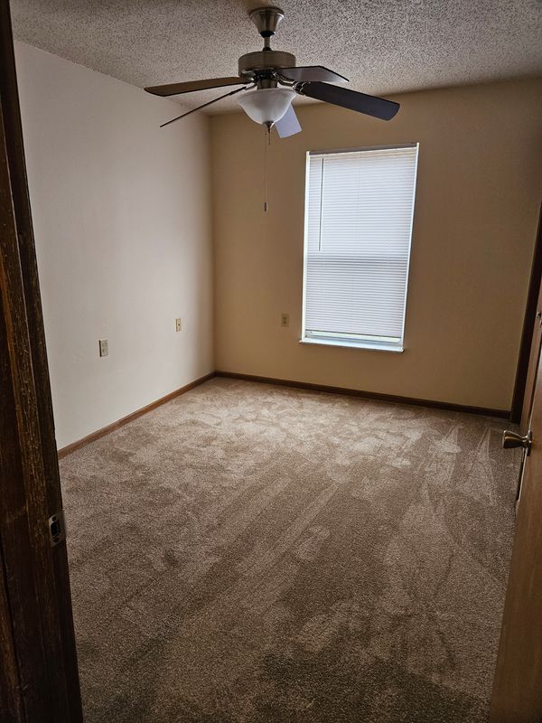 Carpet Cleaning