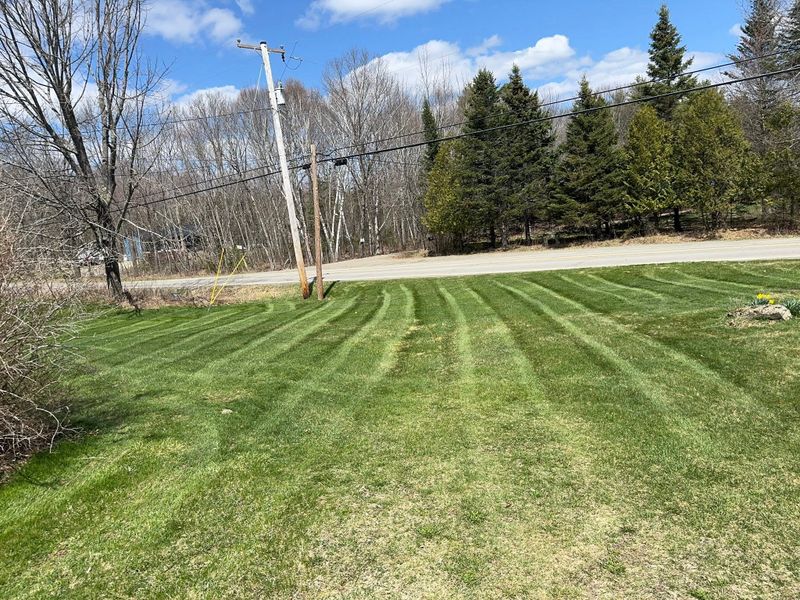 Lawn Maintenance