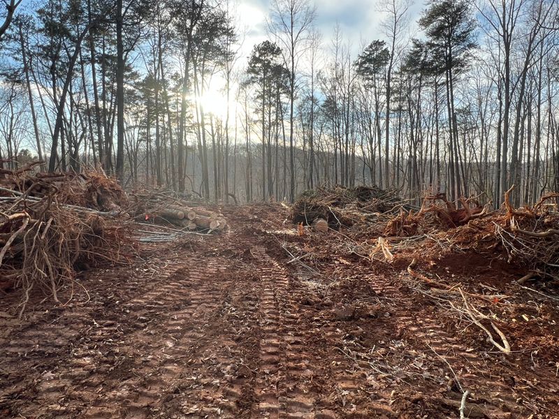 Land Clearing