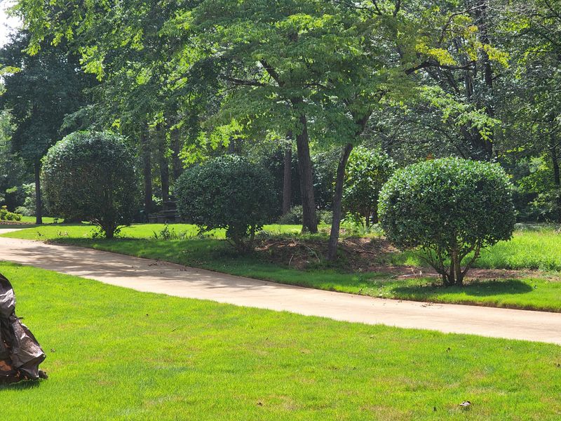 Lawn Care