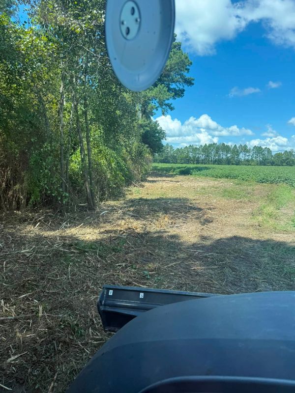 Land Clearing