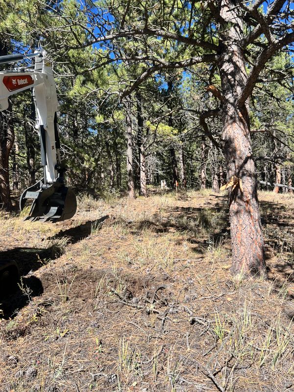 Land Clearing