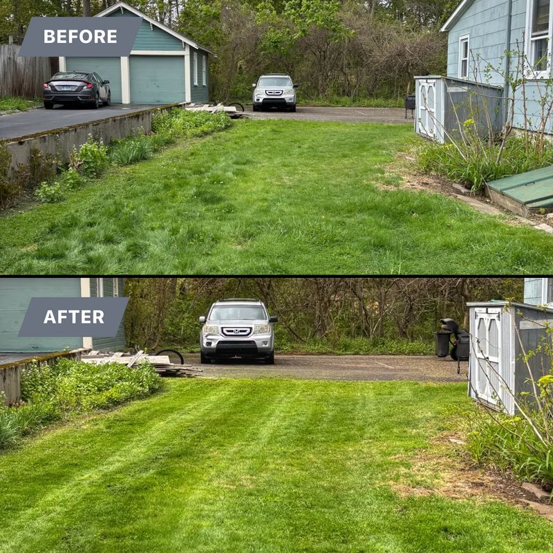 Lawn Maintenance