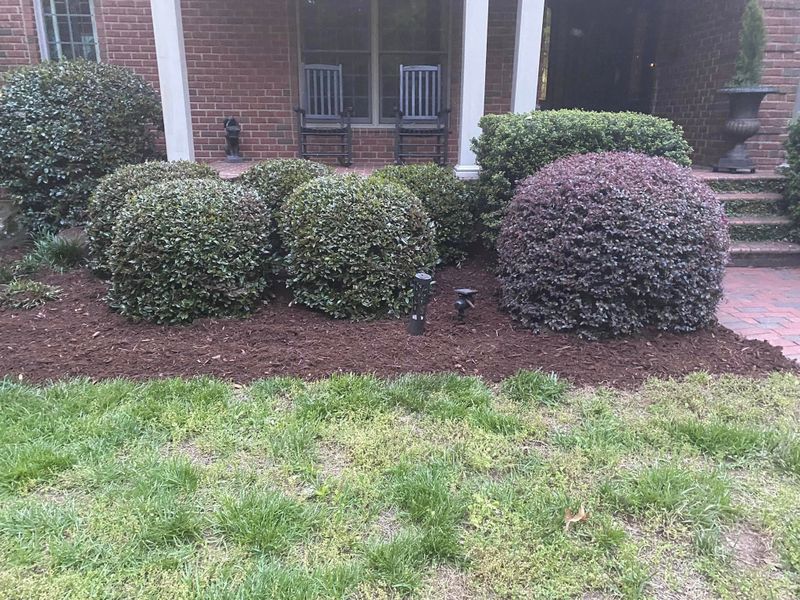 Bush Trimming