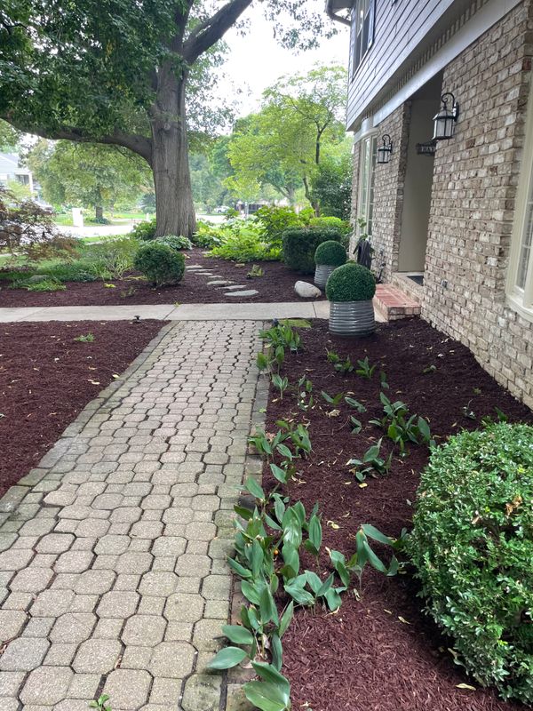 Lawn Maintenance