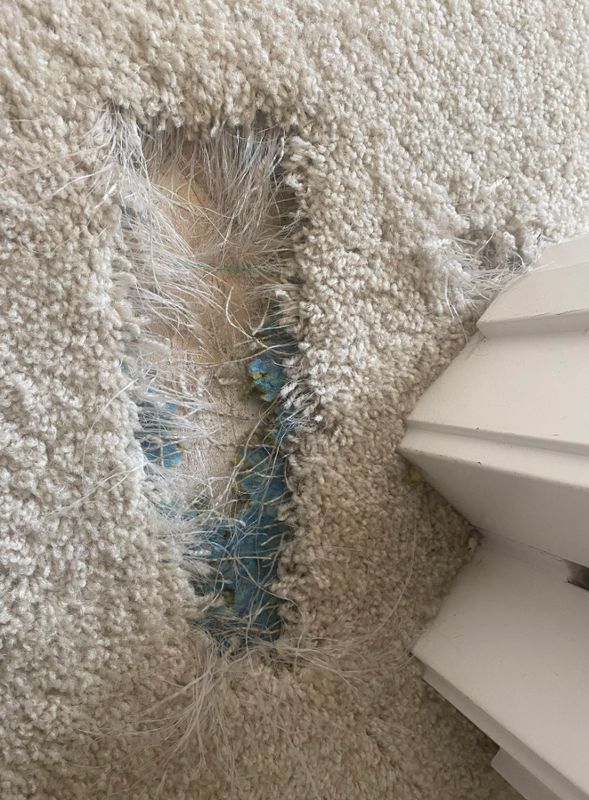 Residential Flooring