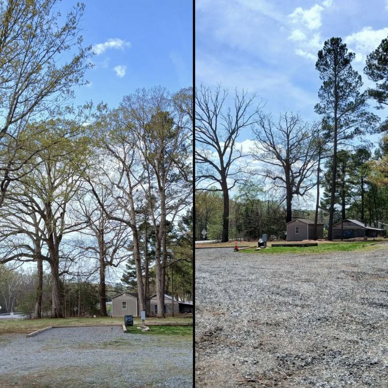 Land Clearing