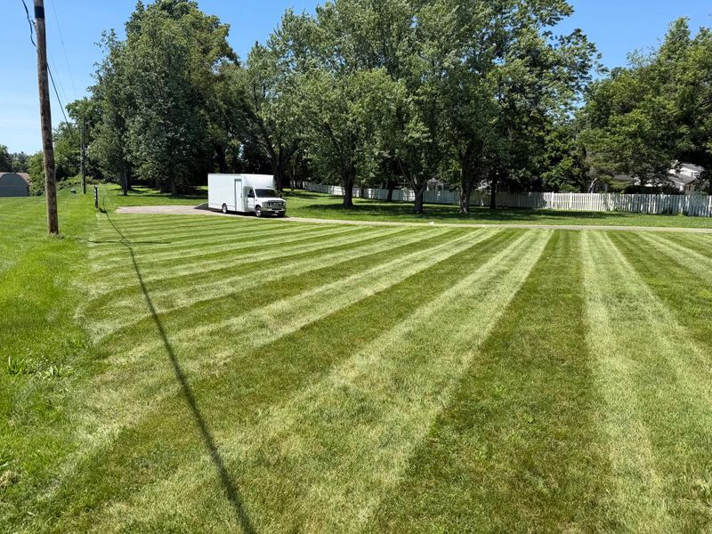 Lawn Fertilization