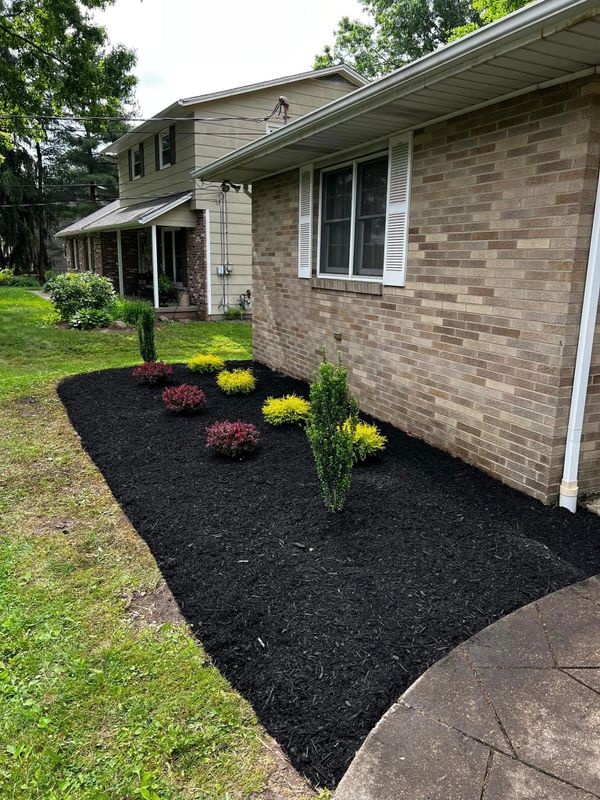 Landscaping