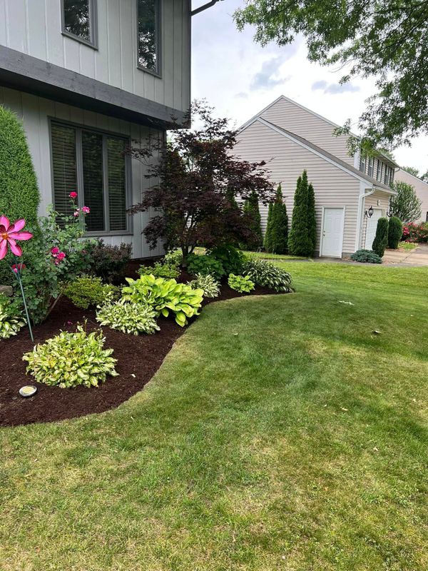 Landscaping