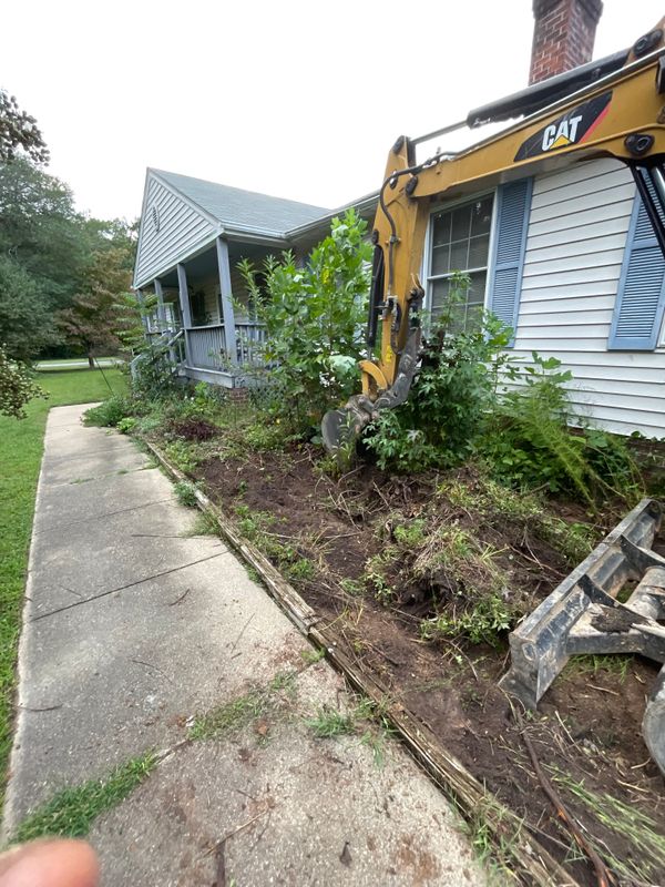 Plant & Shrub Installations