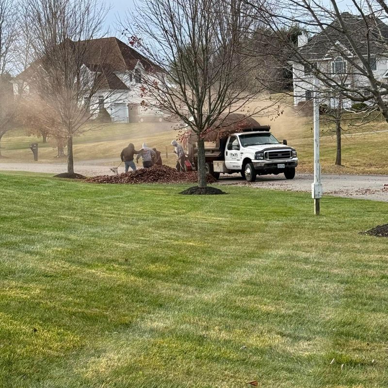 Fall cleanup