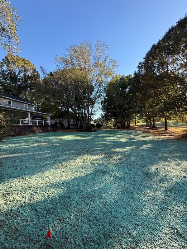 Hydroseeding gallery