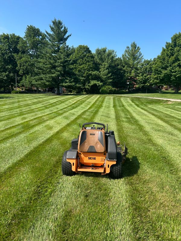 Lawn Care & Maintenance