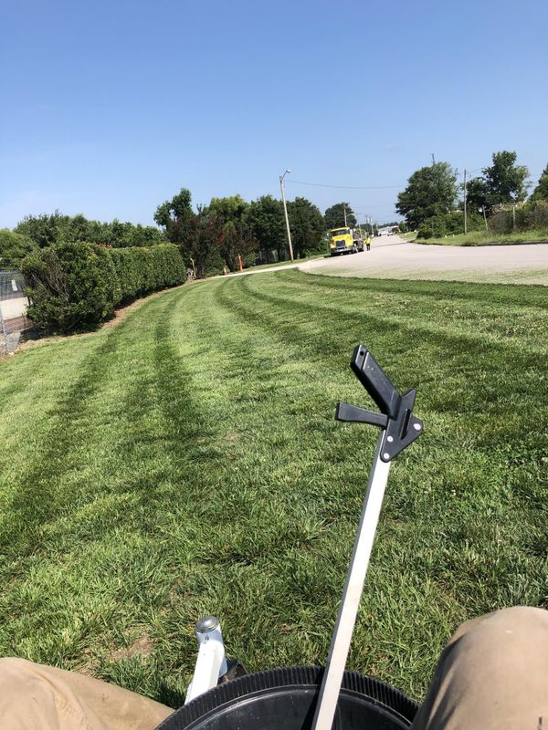 Lawn Care