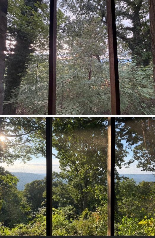 Tree Trimming