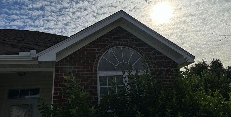 Fascia Repair