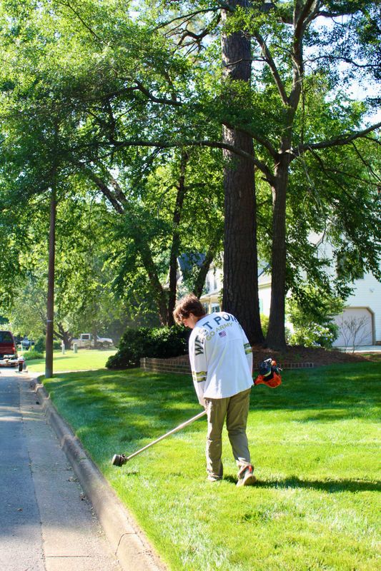 Property Maintenance