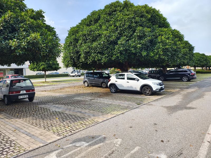 Parking Lot Paving