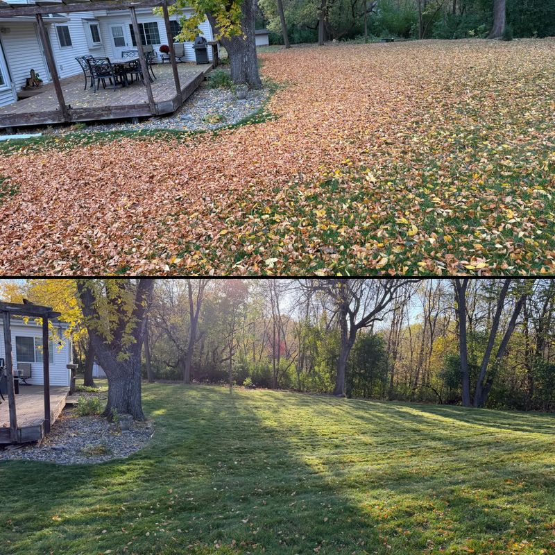 Seasonal Clean-ups