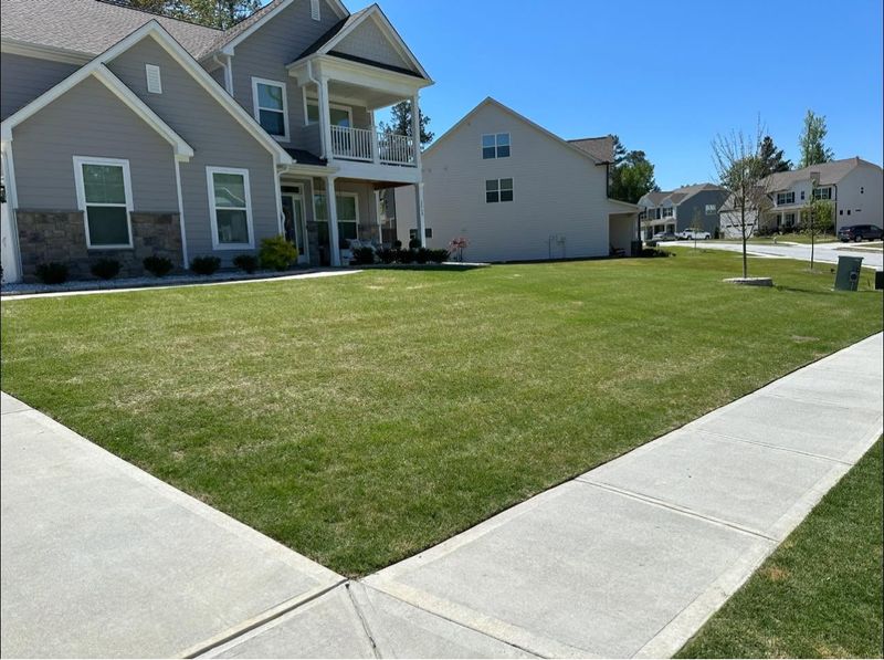 Lawn Maintenance