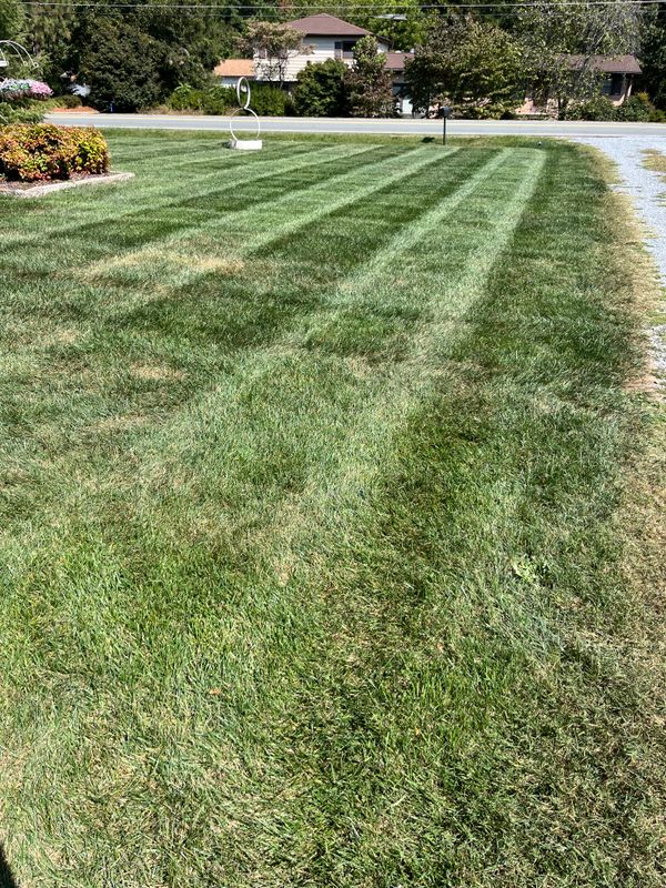 Lawn Mowing