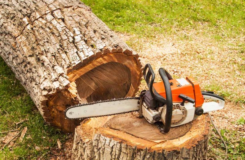 Stump Grinding & Removal