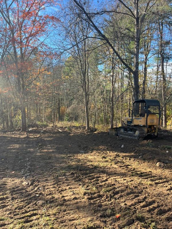 Mulch Installation