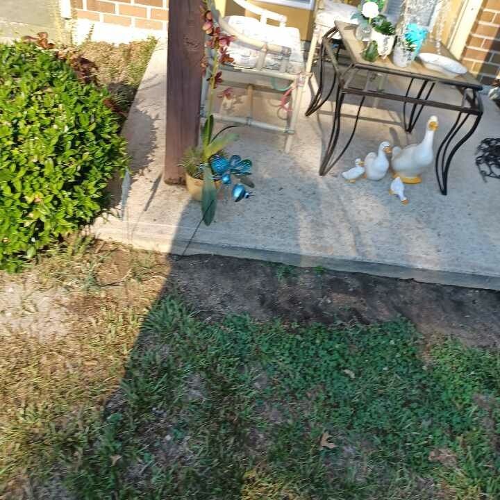 Pressure Washing