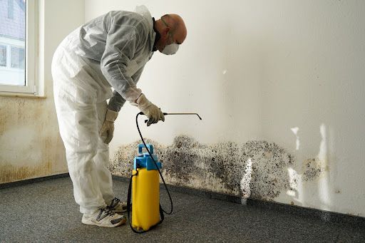 Water Damage Repair