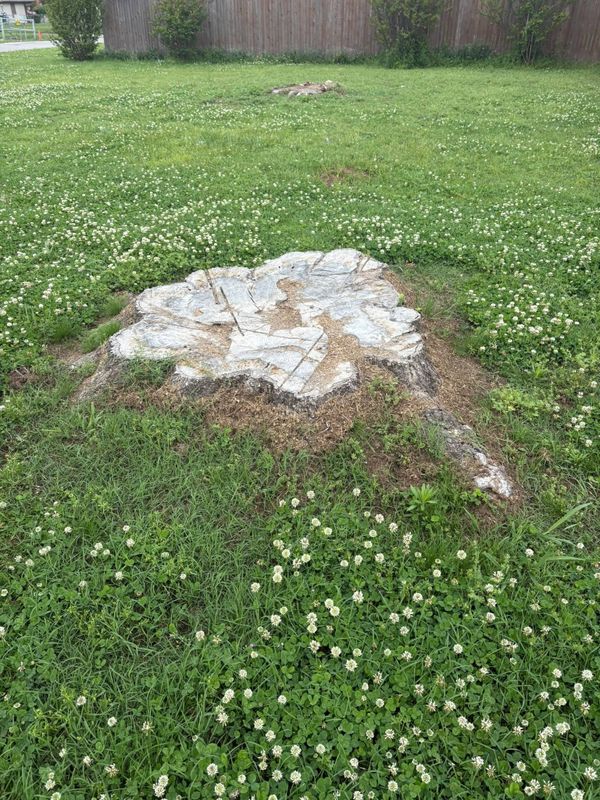 Stump Removal