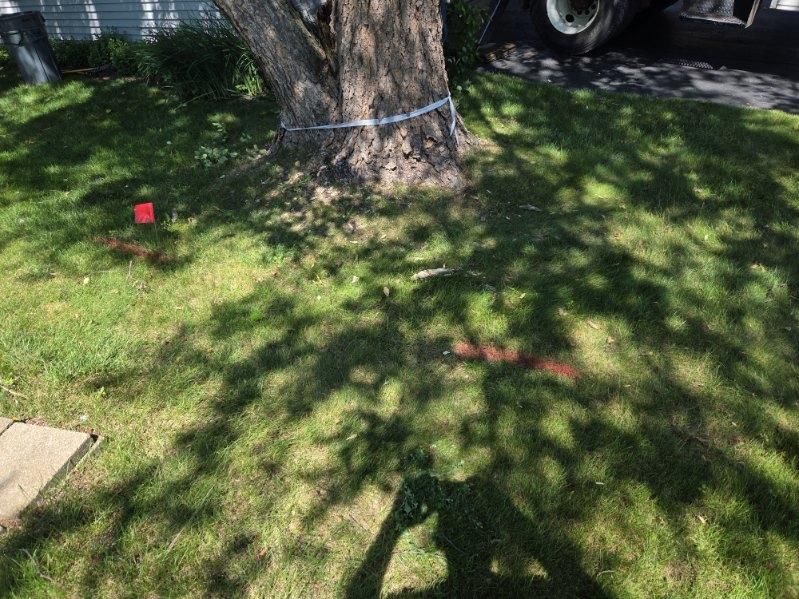 Tree Transformation Triumph: Safe and Efficient Removal by O&O Tree Service