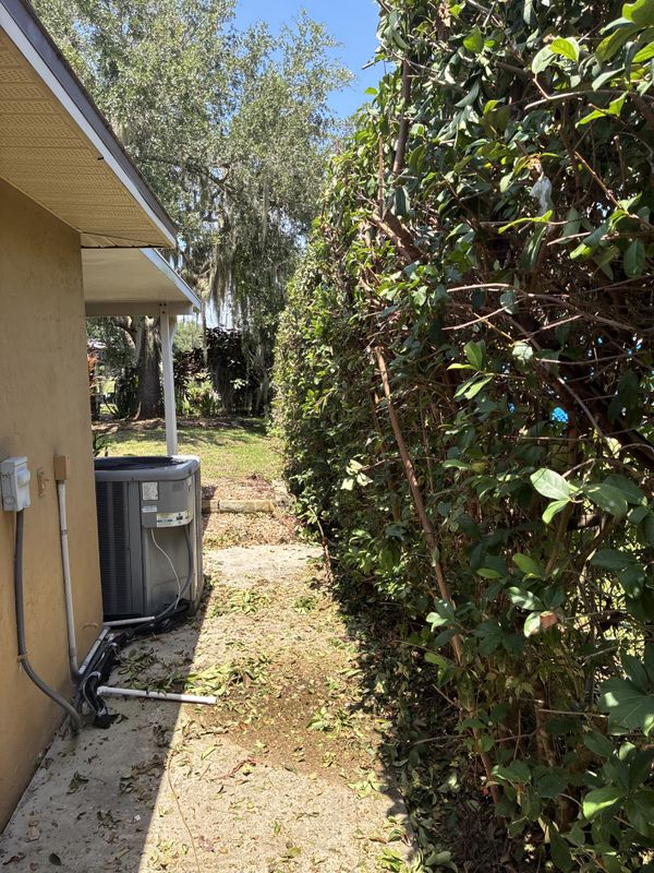 Tree and Hedge Care