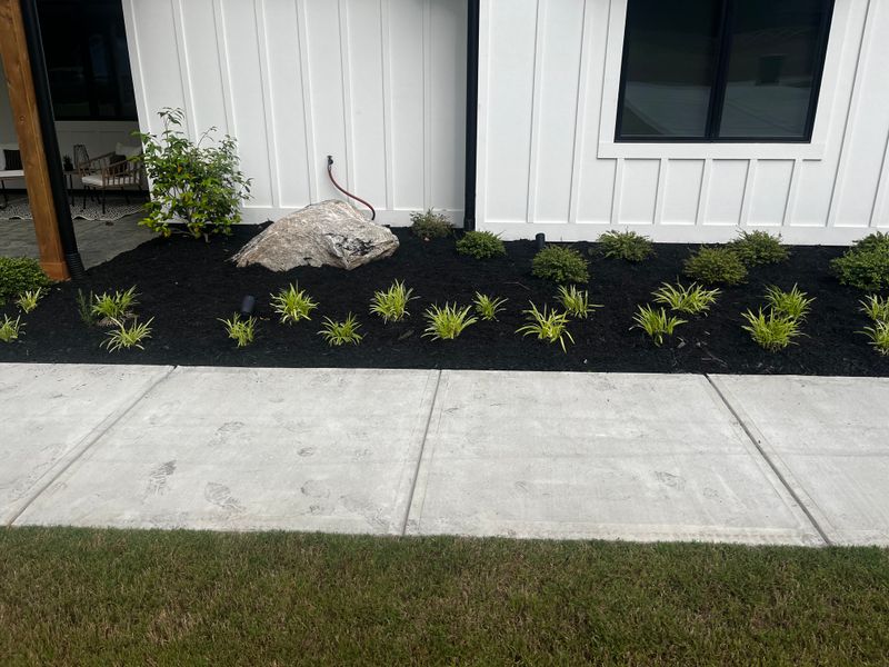 Mulch