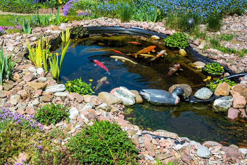 Landscape Design