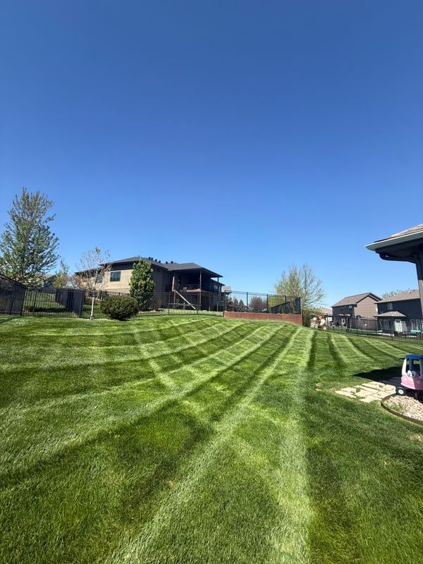 Lawn Care