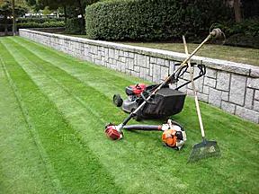 Lawn Service