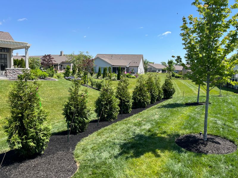 Privacy Trees