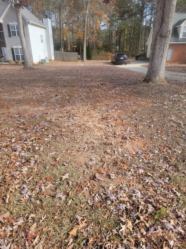 Landscaping