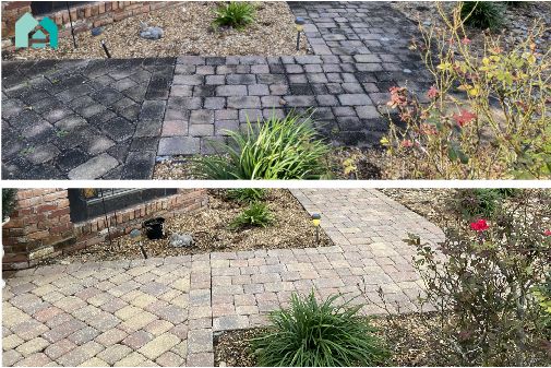 Pressure and Soft Washing