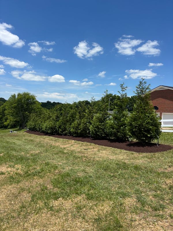Privacy Trees