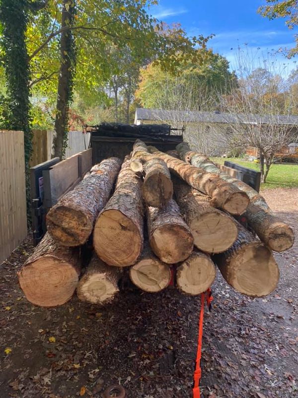 Land Clearing
