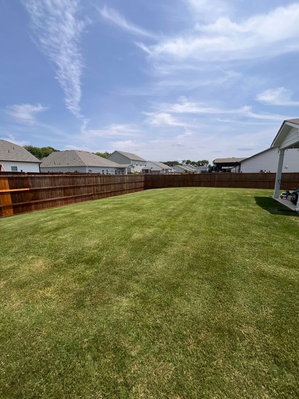 Lawn Maintenance