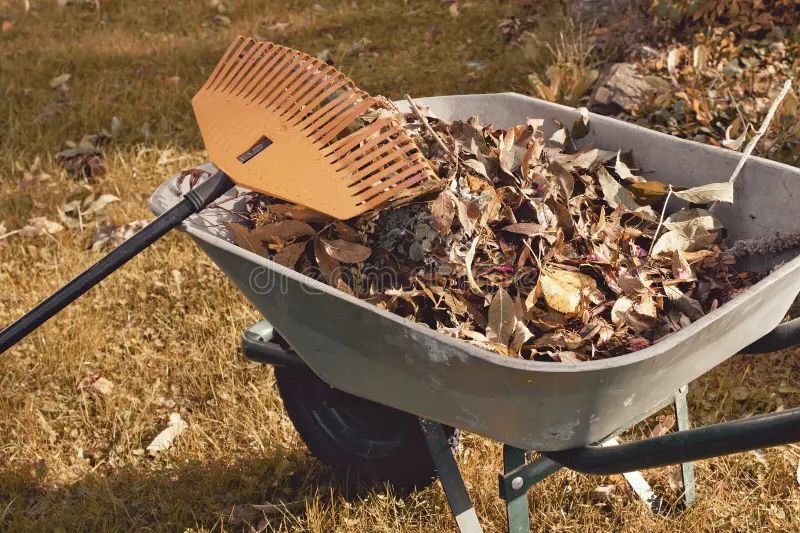 Seasonal Cleanups