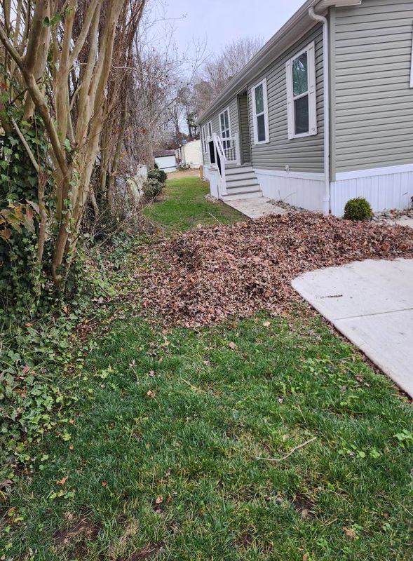Landscaping & Hardscaping