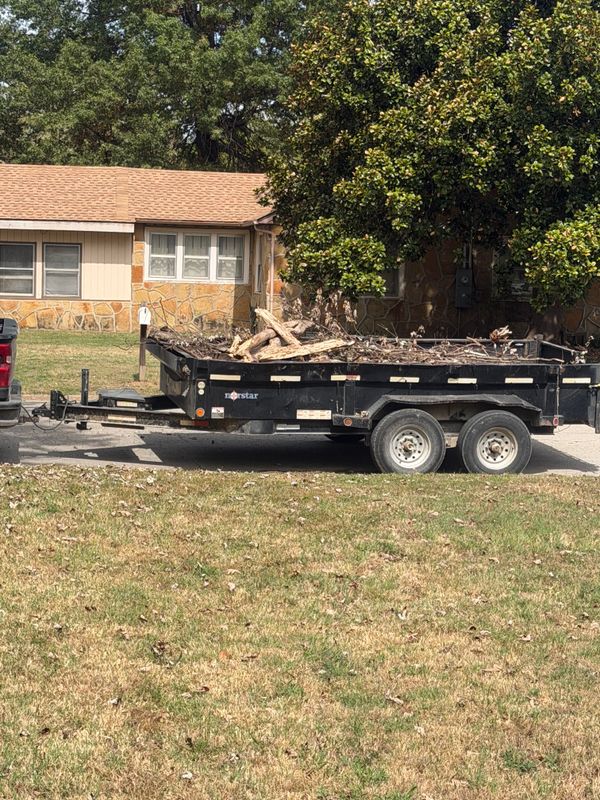Tree Removal