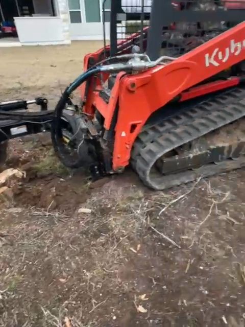 Tree Trimming & Stump Grinding